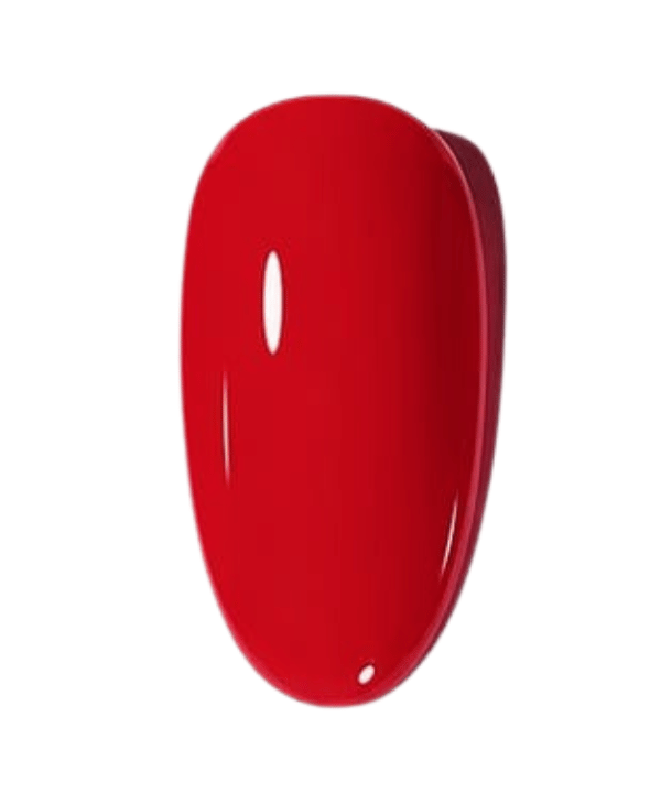 Scarlet Rose – Image 3
